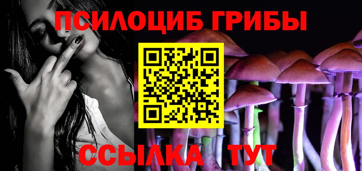 Псилоцибиновые грибы мицелий  Вход с VPN  Галлюциногенные грибы GOLDEN TEACHER  где купить   Тара 